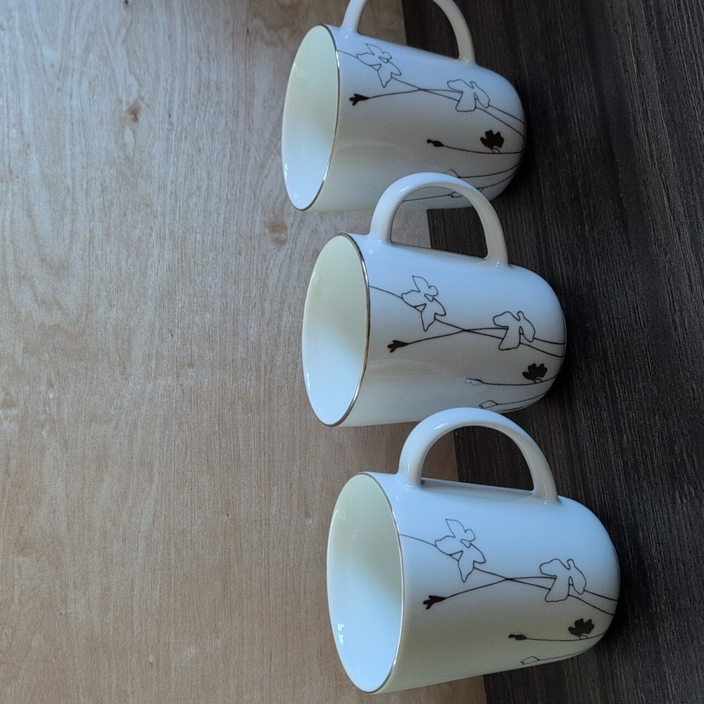 Charter Club Grand Buffet Silhouette Platinum Mugs Set 3